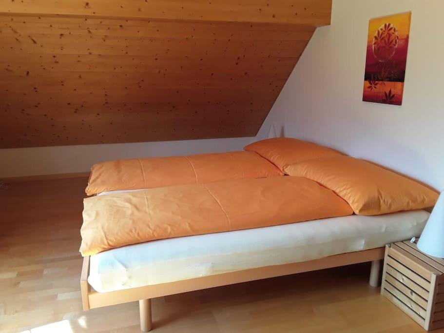 Zwinglis Ferienwohnung Rosi Nesslau Zewnętrze zdjęcie
